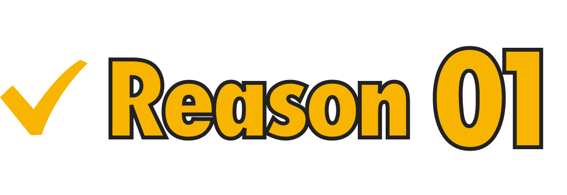 reason01