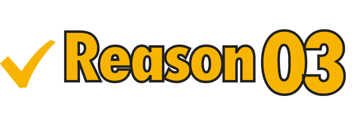 reason03